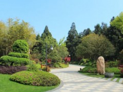 园林绿化工程施工 从技术要点到生态价值
