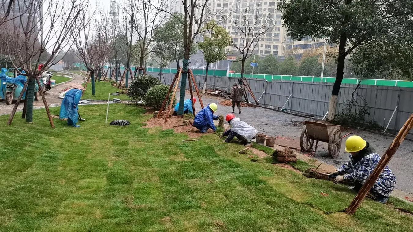 园林景观绿化工程 专业绿化施工，助力打造绿色生态家园