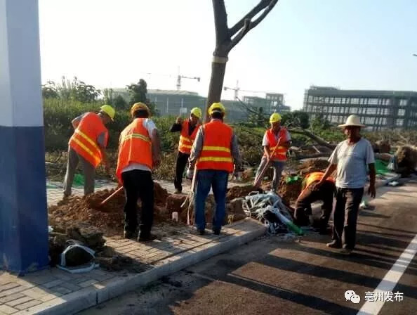 环境 | 高铁站公园、34条道路周边绿化&hellip;亳州这个大项目开始施工!