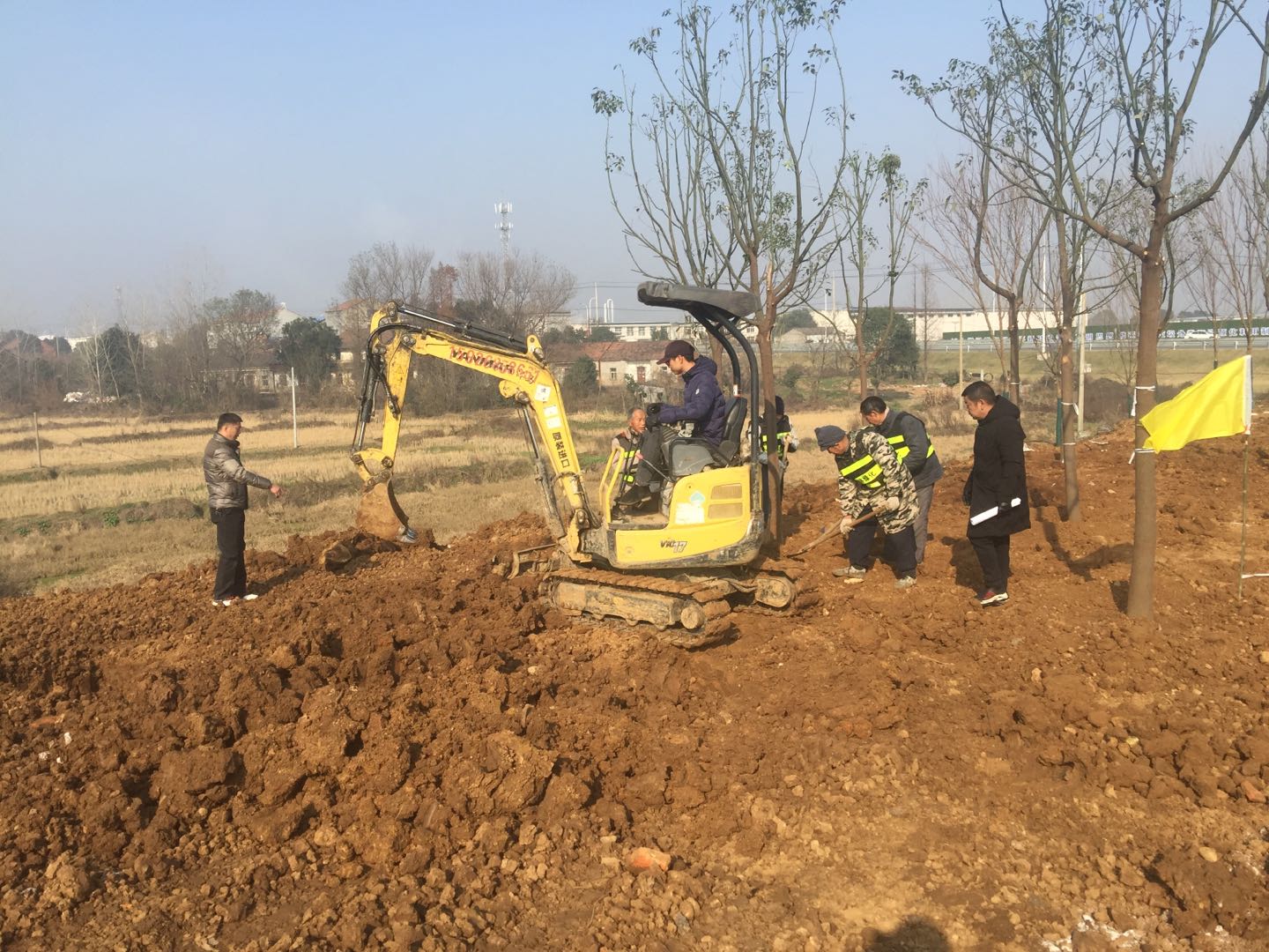 【应城】新年前 这里将建成又一靓丽绿化节点