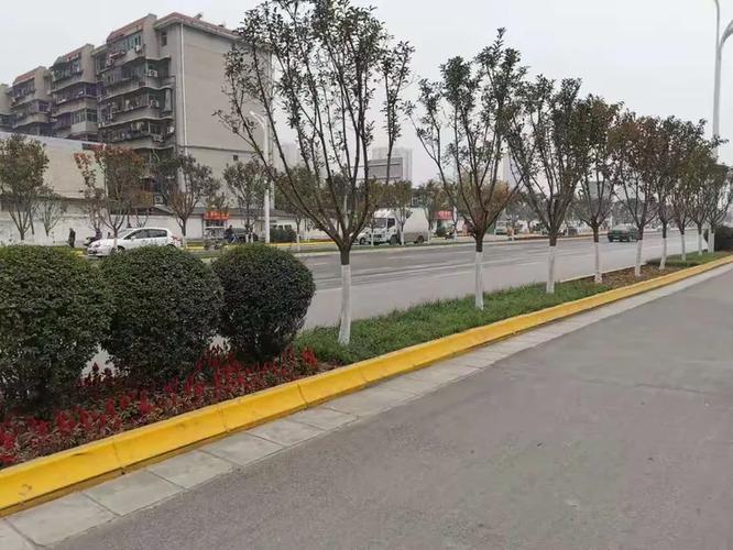 西安大兴新区团结南路二期绿化工程荣获“陕西省园林绿化优质工程”奖，打造城市生态新标杆