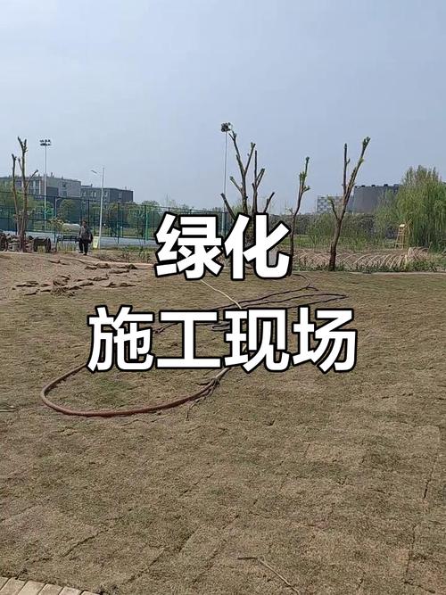 施工现场实拍,园林绿化工程进展顺利